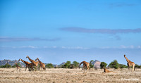 TBI - Board - MPala Visit