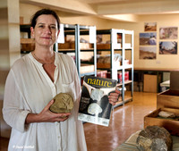 TBI - Sonia Stone Tool Lecture